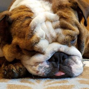 Meet your Posher, Dana